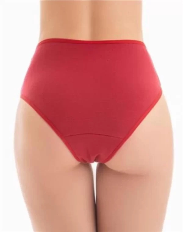 CALCINHA ABSORVENTE FL INTENSO RUBI